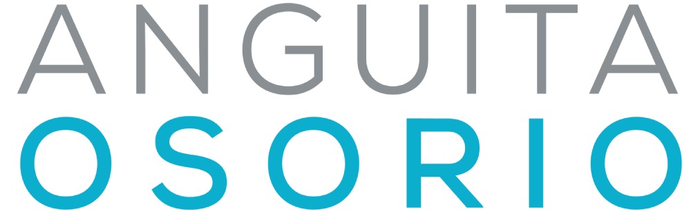 Logo Anguita